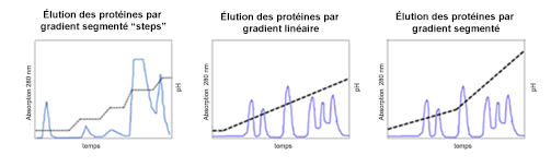 Gradient d’élutions Exemples: gradient linéaire et gradient par pallier Gradient d’élutions Exemples: gradient linéaire et gradient par pallier